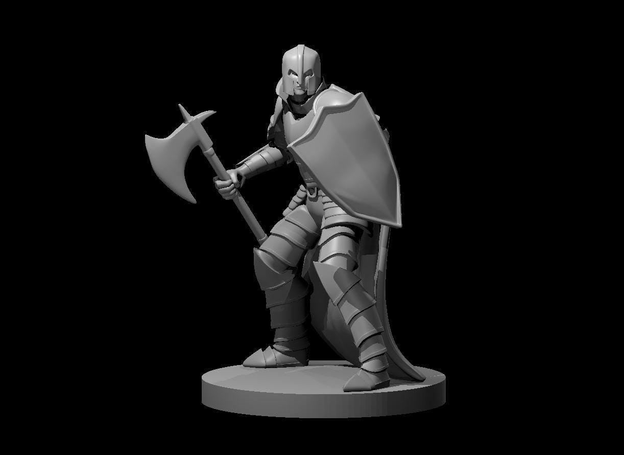 Human Male Fighter with Axe & Shield - Theboxanddice