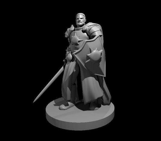 Human Male Light Cleric Miniature with Sword and Shield - Theboxanddice