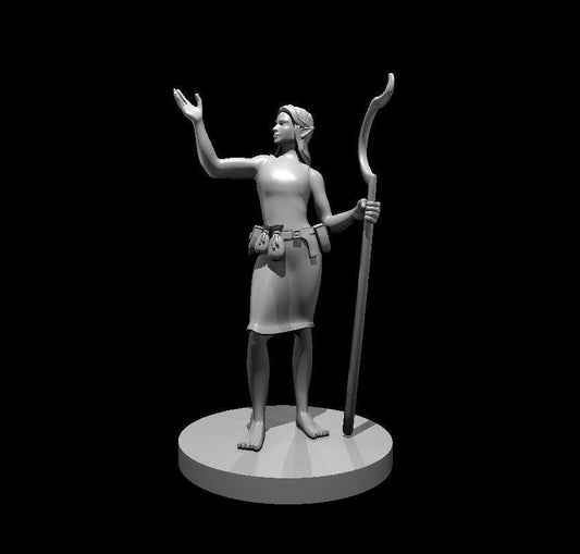 Elven Male Druid Miniature #3 for DND Adventures - Theboxanddice