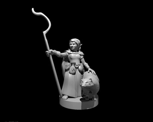 Gnomish Druidess 3D Miniature for Tabletop Gaming - Theboxanddice