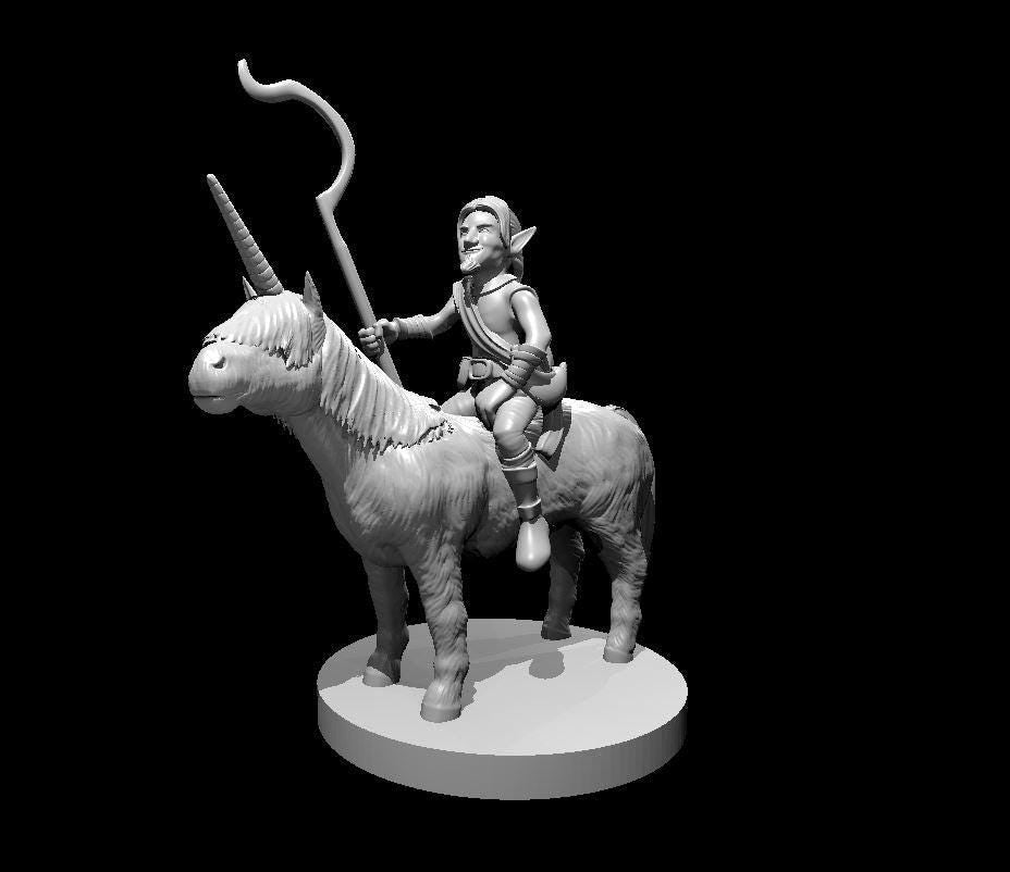 Gnome Druid Riding a Pocket Unicorn Miniature for DND Sessions - Theboxanddice