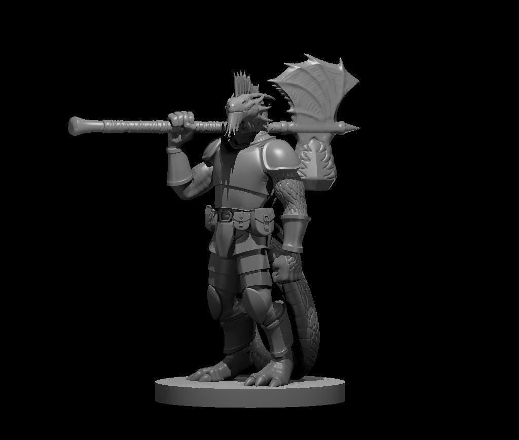 Silver Dragonborn War Cleric Miniature with Axe and Maul Combo - Theboxanddice