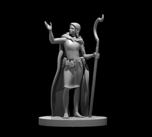 Female Druid Adventurer Miniature #1 - Theboxanddice