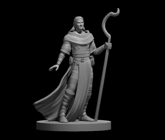 Human Male Druid Miniature (Variant #1) - Theboxanddice