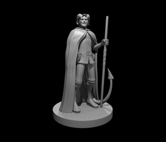 Male Tiefling Druid 3D Printed Miniature - Theboxanddice