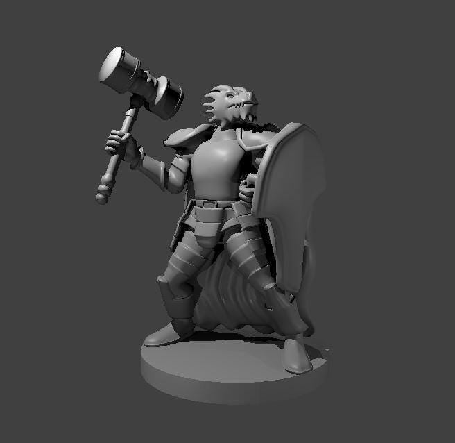 Dragborn Warrior Miniature with Hammer and Shield - Theboxanddice