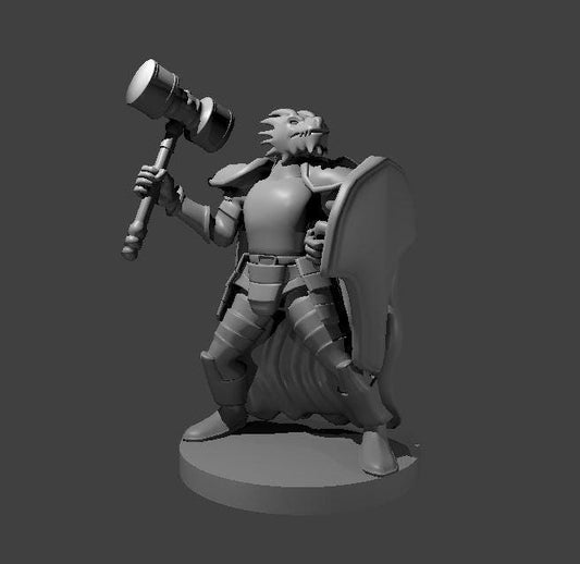 Dragborn Warrior Miniature with Hammer and Shield - Theboxanddice