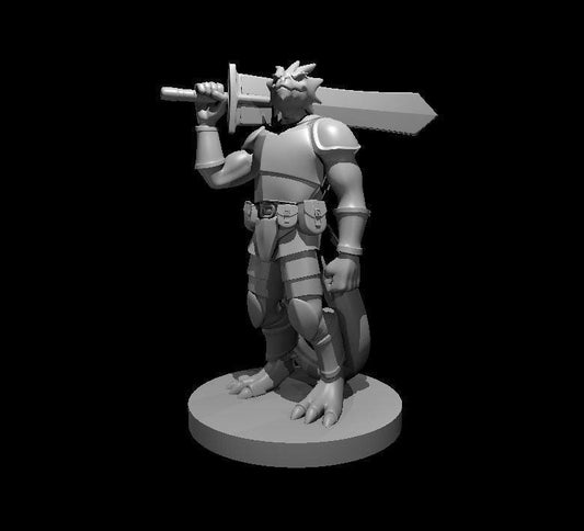 Dragborn Armored Warrior 4 Miniature - Theboxanddice